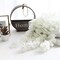 33Ft Cream White Artificial Flowers Garland Fake Wisteria Hanging Flowers Garlands Vine for Party Wedding Garden Decoration 10 Pack(Cream White)